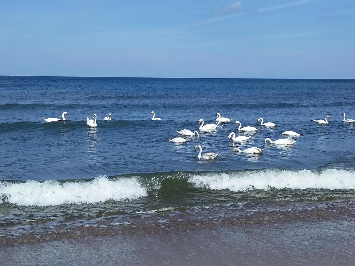 SEA&YOU Apartament z widokiem na morze - Dwie Sosny Ustronie Morskie Zewnętrze zdjęcie